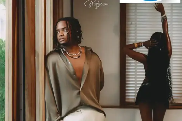 Crayon – Bodycon Download