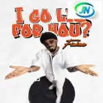 Fiokee – I Go Lie for You?