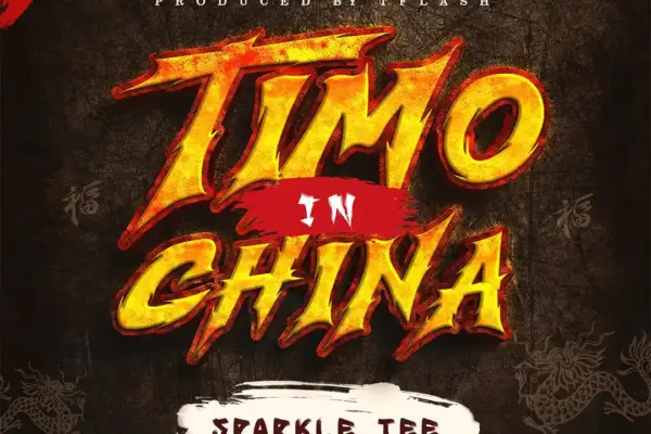 Sparkle Tee – Timo In China Download