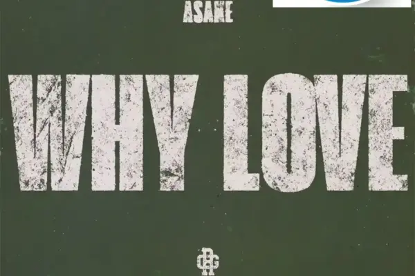 Asake – Why Love Download