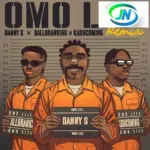 Danny S – Omo Lile (Remix) ft. Balloranking & Kashcoming