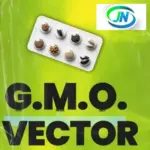 Vector – G.M.O (Freestyle)