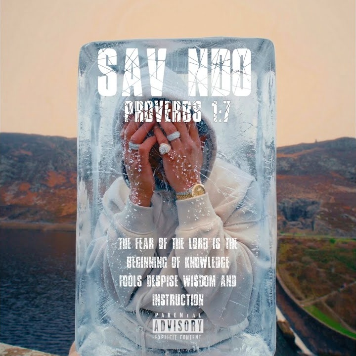 Sav NDO