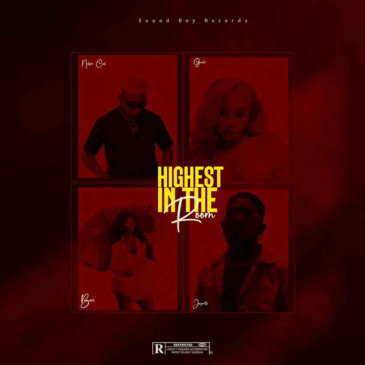 Highest in the room by Nelson Cool