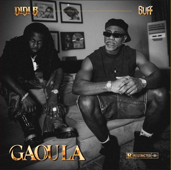 Gaou La by 6uff, Didi B